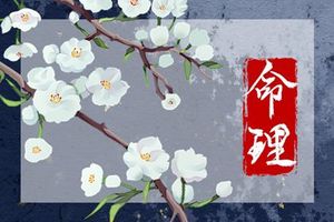 屬龍小年出生的人命好不好 小年不能過生日嗎