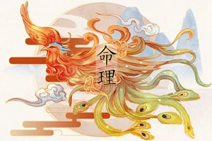 正月初一生人有說法嗎 這一天出生的寶寶好不好