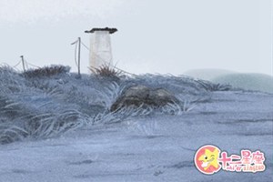 揭秘屬羊正月出生命運如何