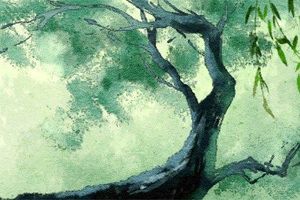 戌時出生的女孩有2種命 寶寶命運解析