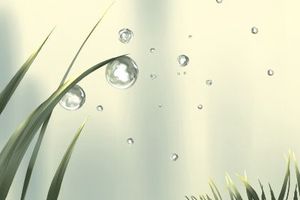 虎年白露出生的女孩好不好 運勢發展如何