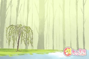 女人幾月生是孤寡命 從哪方看孤寡命