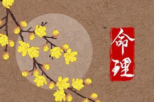 臘月初五是什麼命 天生要強不服輸