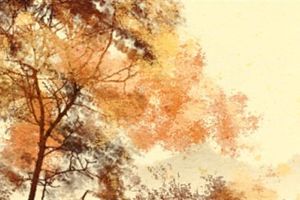 亥時出生的男孩什麼命 寶寶命運解析