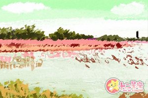 為什麼說正月出生不好 有哪些壞處呢