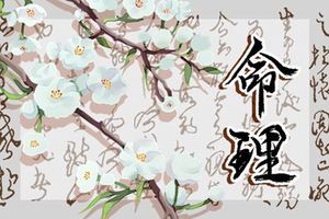 申時生人哪個月最好 這個時辰出生好不好