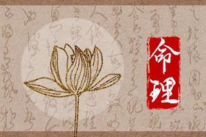 屬狗小年出生的命運分析 頭腦聰明 命帶富貴