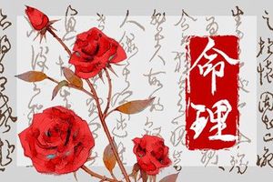 子時出生是什麼命 為什麼說千金難買子時命