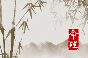 12生肖哪個時辰出生大富大貴 誰最好命