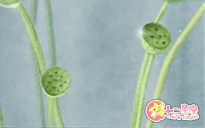 傷官見官具體是如何定義的