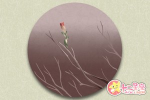 八字財運怎麼看 八字財運的具體分析