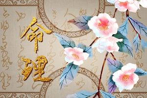 晚上7點半出生是什麼時辰 戌時生人運勢如何