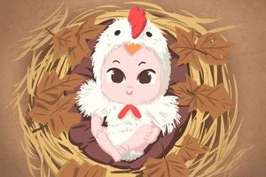 天生就是上等人命的生日尾數 什麼時候出生好