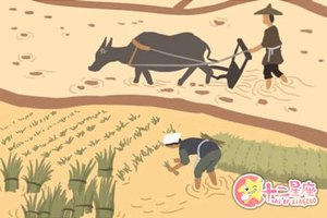 八字十大桃花運勢查詢分析