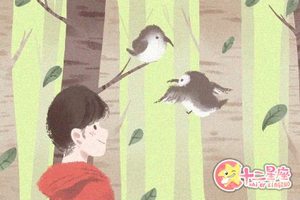 巳時出生的女孩命運是怎麼樣的