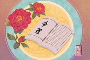 戊寅年哪個月出生人好 這一年出生的人好嗎