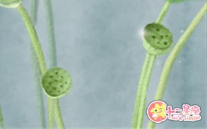 午時出生的女孩取名需要注意什麼