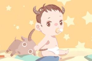 屬狗小年出生的人命好不好 生肖狗的命運解析