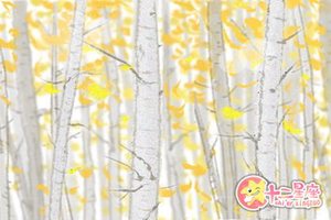 八字中身子比較弱的人該怎麼補救