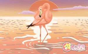 傷官雙透的女命究竟意味著什麼