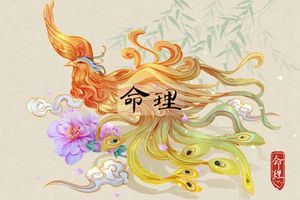 屬豬臘月出生的女孩好不好 一帆風順 愜意安樂