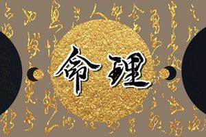 兔年虎月出生的人命運怎樣 運勢分析