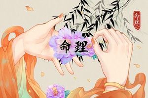 丁亥日出生月份看富貴 有什麼含義