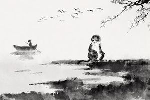 火猴命是什麼命 敢作敢為志向遠大