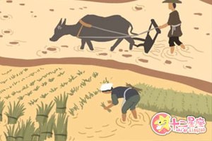 正月十五出生女孩 取名要注意什麼