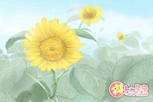 八字知識 十神詳解具體是什麼含義