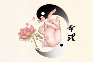 虎年丑時出生的女孩五行缺什麼 命運發展如何