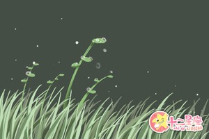 根據出生年月日計算法是怎麼回事