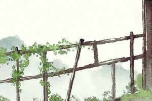 給父母報恩的出生時辰男 幾點出生的男孩將來光宗耀祖