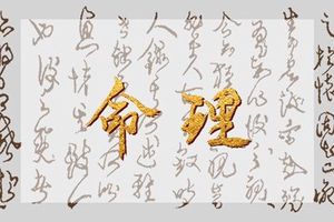 午時出生的女孩命運 女孩出生在午時好不好