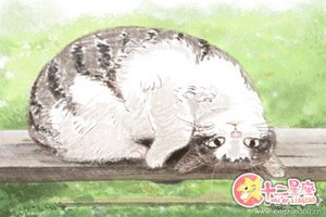 時上偏財格怎麼確定_時上偏財格的喜忌