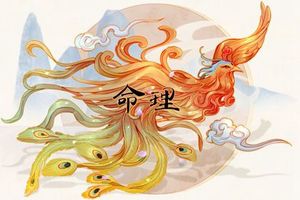 酉時出生的男孩命運 酉時出生男命解析