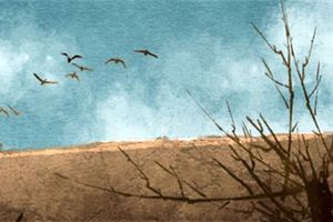 遇到主動給你算命的人 算命有什麼說法