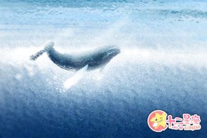 木型人性格如何 五行木型人性格分析