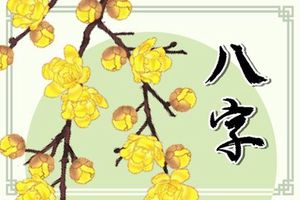 日柱辛未是什麼意思 辛未生人什麼命運