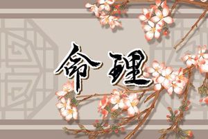 凌晨出生是什麼時辰 十二時辰制