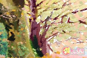 正月初一出生的人運勢好不好