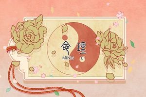 除夕前一天出生的人命運如何 屬什麼生肖