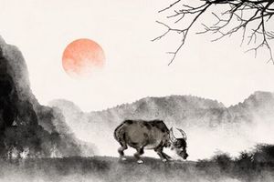 為什麼不能閏月生孩子 閏月出生有什麼說法