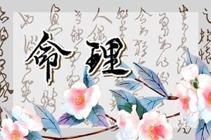 兔1987年出生是什麼命 屬兔的命運怎樣