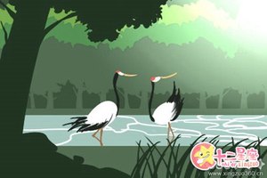 八字水木兩旺的男人在職場中有何發展