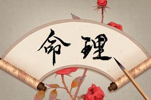 虎年虎月虎日虎時出生的人好不好 木氣盛有大運