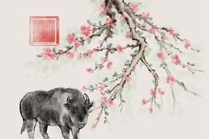 初一十五出生的人命硬 為什麼這麼說