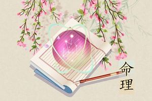 十大貴命命格 真正的上等八字