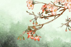 短壽者有哪些特點 過度疲勞的人壽命短