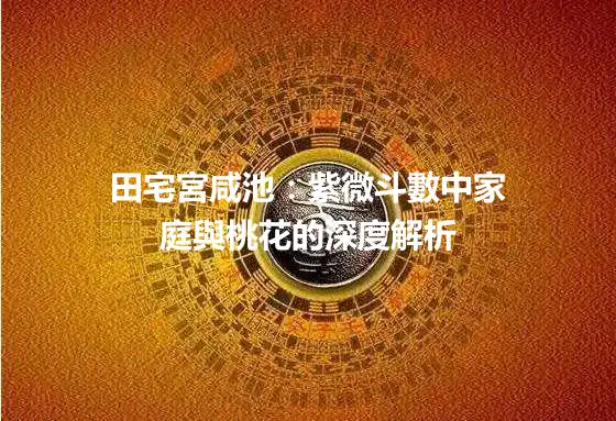 田宅宮咸池：紫微斗數中家庭與桃花的深度解析